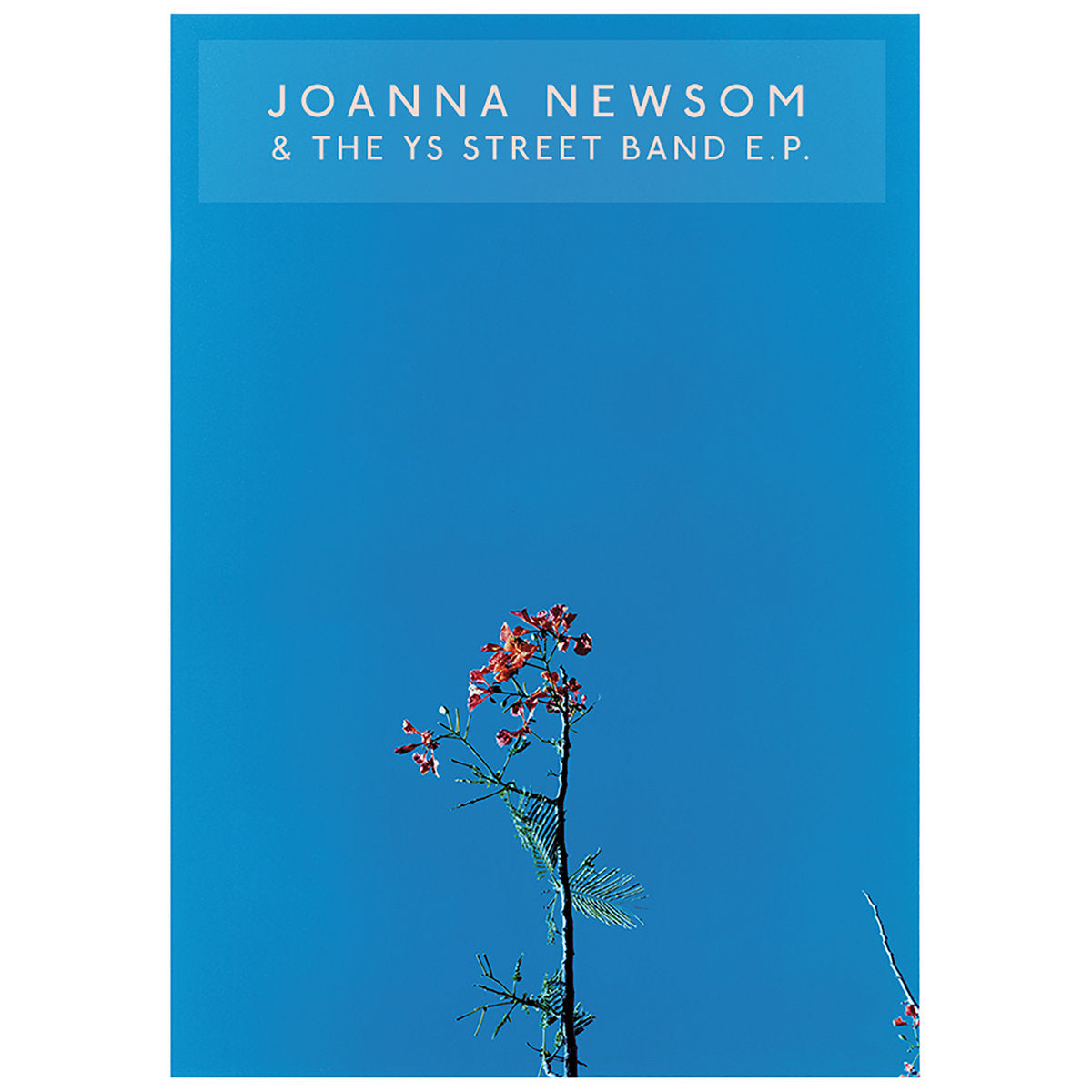 Joanna Newsom & The Ys Street Band (EP)