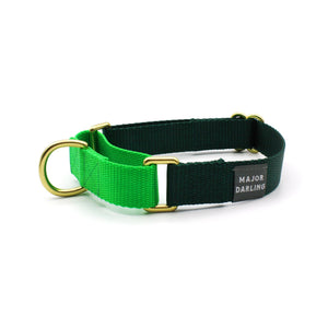 Martingale Collar - Evergreen + Lime (LG)