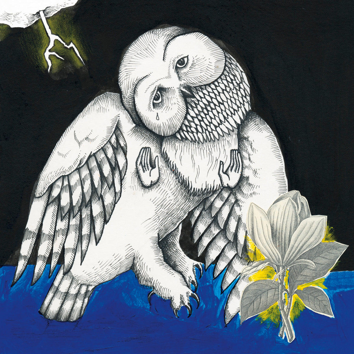 Songs: Ohia - Magnolia Electric Co.