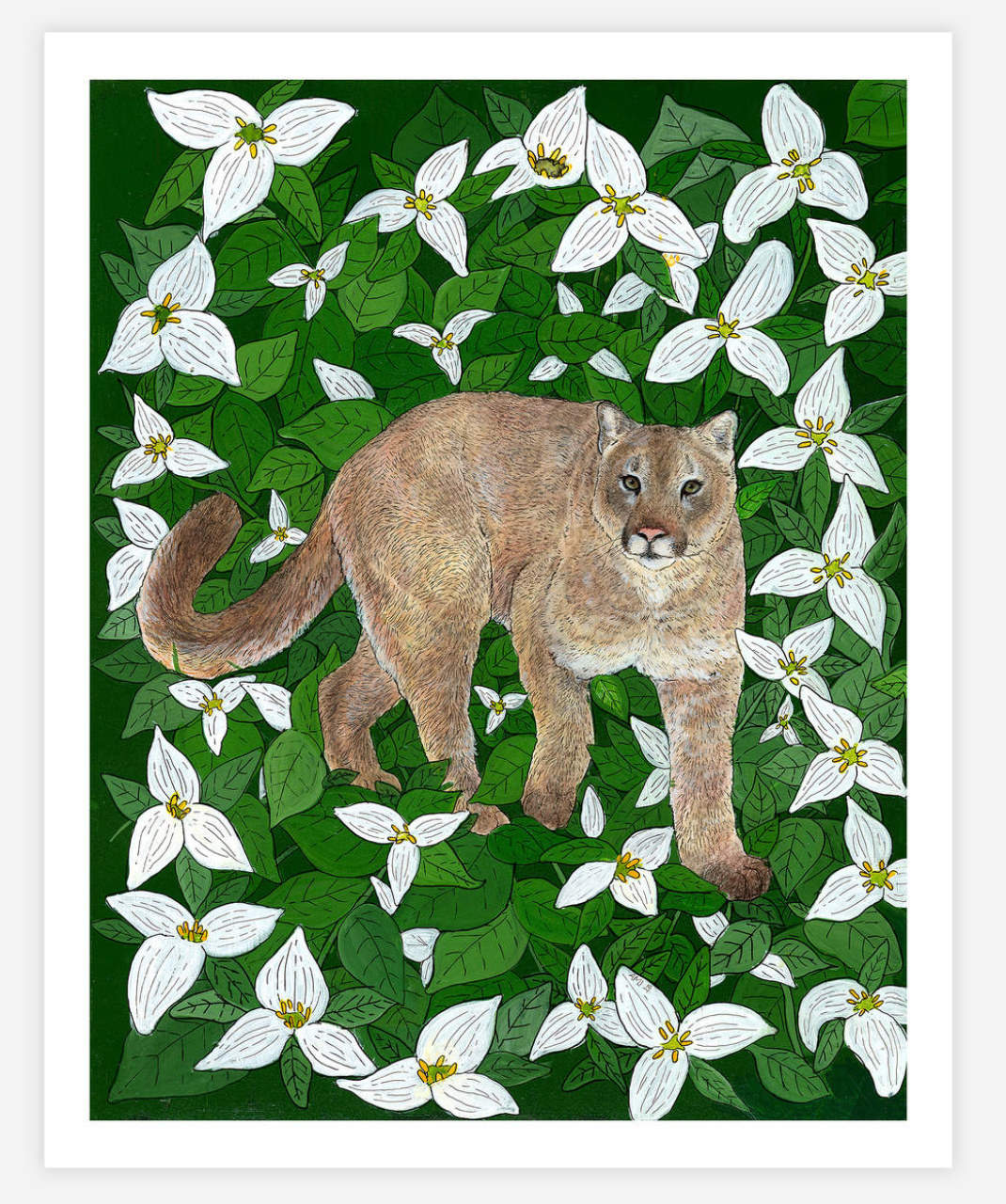 ART PRINT: Cougar with Western Trillium - Amanda M. Jorgenson