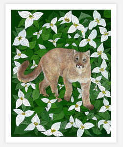 ART PRINT: Cougar with Western Trillium - Amanda M. Jorgenson