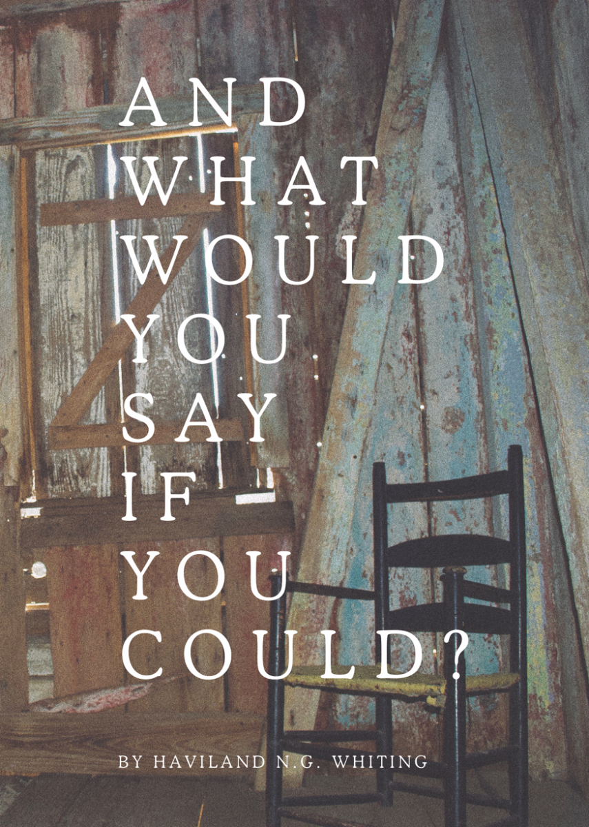 And What Would You Say If You Could - Haviland N.G. Whiting