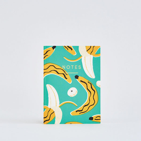 Pocket Notebooks (4 designs)