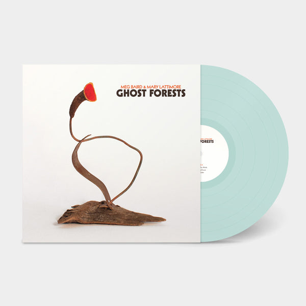 Meg Baird & Mary Lattimore - Ghost Forests