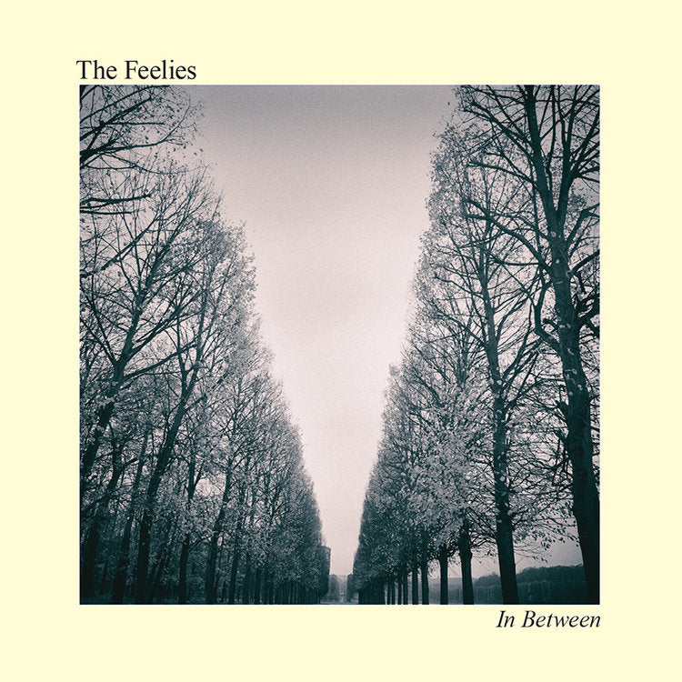 Feelies, The - In Between