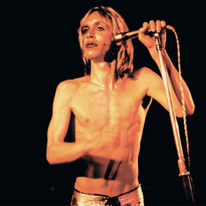 Iggy and the Stooges - Search and Destroy / Penetration single