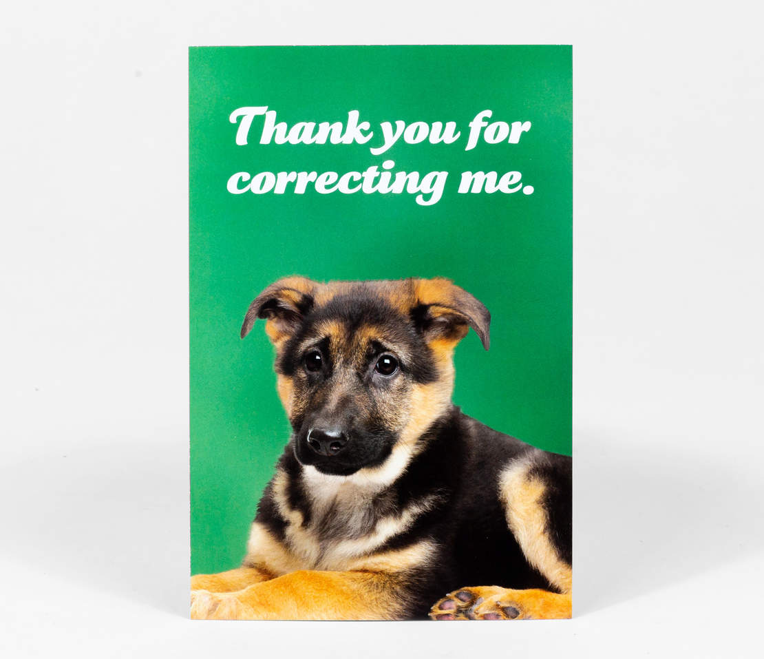 Postcard: Thank You For Correcting Me