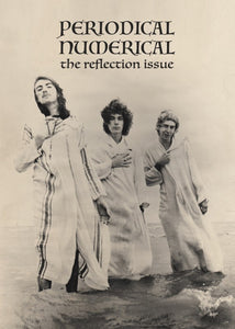 Periodical Numerical - The Reflection Issue