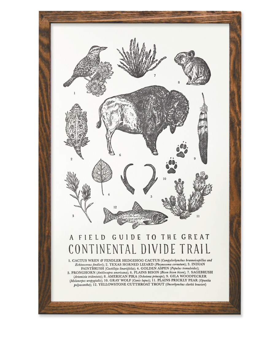 LETTERPRESS PRINT: Continental Divide Trail Field Guide - by The Wild Wander