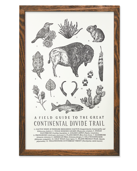 LETTERPRESS PRINT: Continental Divide Trail Field Guide - by The Wild Wander